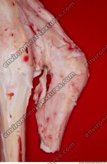 Photo Textures of RAW Bones Beef